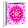 Pink Concentric Flower Center: Mandala Kaleidoscopic-tr3gi-Framed Premium Giclee Print