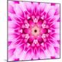 Pink Concentric Flower Center: Mandala Kaleidoscopic-tr3gi-Mounted Premium Giclee Print