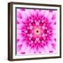 Pink Concentric Flower Center: Mandala Kaleidoscopic-tr3gi-Framed Art Print