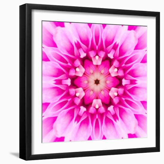 Pink Concentric Flower Center: Mandala Kaleidoscopic-tr3gi-Framed Art Print