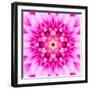 Pink Concentric Flower Center: Mandala Kaleidoscopic-tr3gi-Framed Art Print