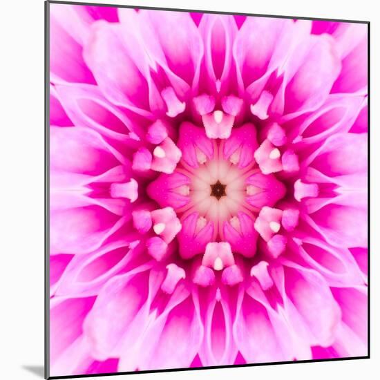 Pink Concentric Flower Center: Mandala Kaleidoscopic-tr3gi-Mounted Art Print