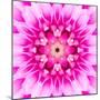 Pink Concentric Flower Center: Mandala Kaleidoscopic-tr3gi-Mounted Art Print