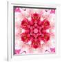 Pink Concentric Flower Center: Mandala Kaleidoscopic-tr3gi-Framed Art Print