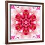 Pink Concentric Flower Center: Mandala Kaleidoscopic-tr3gi-Framed Art Print