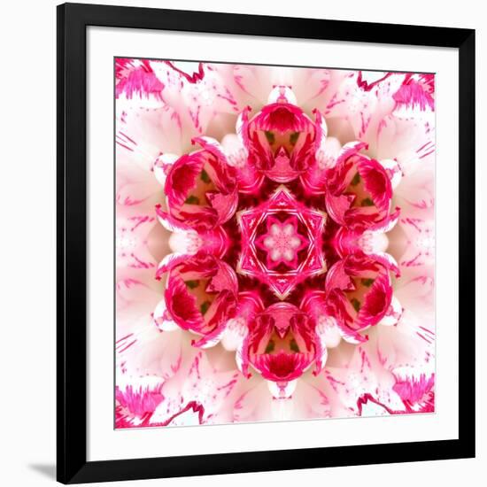 Pink Concentric Flower Center: Mandala Kaleidoscopic-tr3gi-Framed Art Print