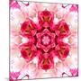 Pink Concentric Flower Center: Mandala Kaleidoscopic-tr3gi-Mounted Art Print