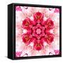 Pink Concentric Flower Center: Mandala Kaleidoscopic-tr3gi-Framed Stretched Canvas