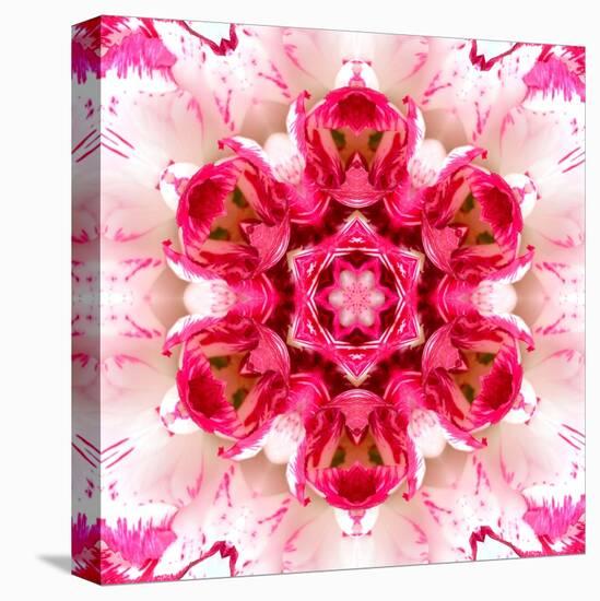 Pink Concentric Flower Center: Mandala Kaleidoscopic-tr3gi-Stretched Canvas