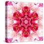 Pink Concentric Flower Center: Mandala Kaleidoscopic-tr3gi-Stretched Canvas