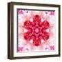 Pink Concentric Flower Center: Mandala Kaleidoscopic-tr3gi-Framed Art Print