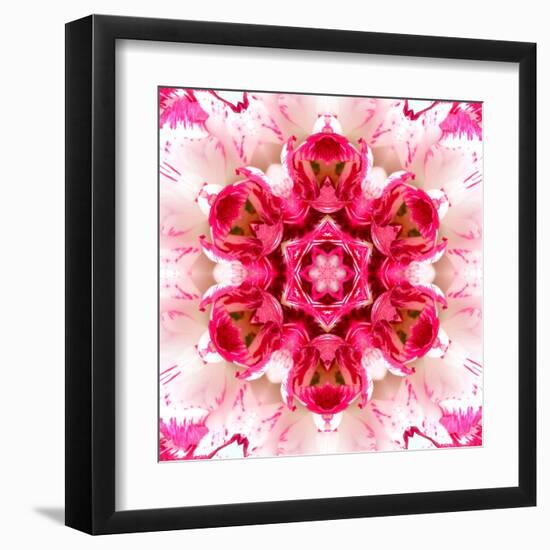 Pink Concentric Flower Center: Mandala Kaleidoscopic-tr3gi-Framed Art Print