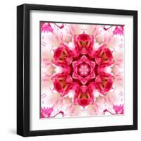 Pink Concentric Flower Center: Mandala Kaleidoscopic-tr3gi-Framed Art Print