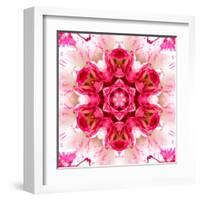 Pink Concentric Flower Center: Mandala Kaleidoscopic-tr3gi-Framed Art Print