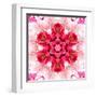 Pink Concentric Flower Center: Mandala Kaleidoscopic-tr3gi-Framed Art Print