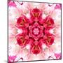 Pink Concentric Flower Center: Mandala Kaleidoscopic-tr3gi-Mounted Art Print