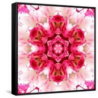 Pink Concentric Flower Center: Mandala Kaleidoscopic-tr3gi-Framed Stretched Canvas