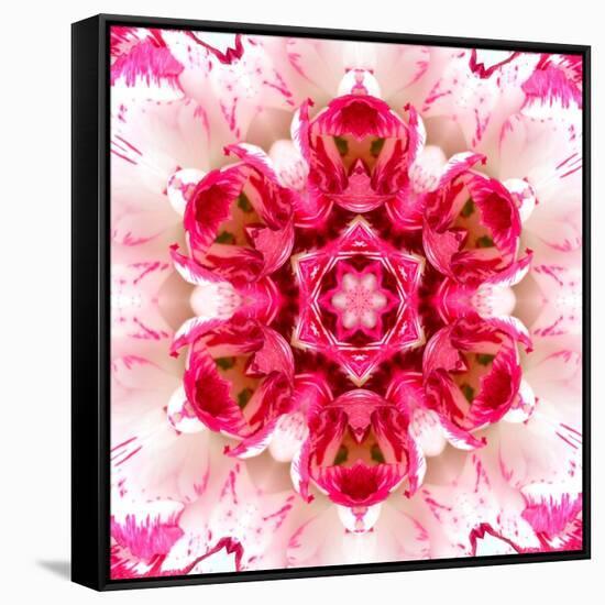 Pink Concentric Flower Center: Mandala Kaleidoscopic-tr3gi-Framed Stretched Canvas