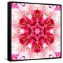 Pink Concentric Flower Center: Mandala Kaleidoscopic-tr3gi-Framed Stretched Canvas