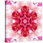 Pink Concentric Flower Center: Mandala Kaleidoscopic-tr3gi-Stretched Canvas