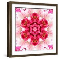 Pink Concentric Flower Center: Mandala Kaleidoscopic-tr3gi-Framed Art Print