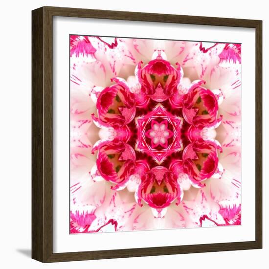 Pink Concentric Flower Center: Mandala Kaleidoscopic-tr3gi-Framed Art Print