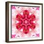 Pink Concentric Flower Center: Mandala Kaleidoscopic-tr3gi-Framed Art Print