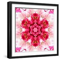 Pink Concentric Flower Center: Mandala Kaleidoscopic-tr3gi-Framed Art Print