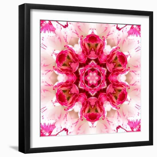 Pink Concentric Flower Center: Mandala Kaleidoscopic-tr3gi-Framed Art Print