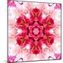 Pink Concentric Flower Center: Mandala Kaleidoscopic-tr3gi-Mounted Art Print