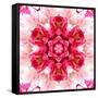 Pink Concentric Flower Center: Mandala Kaleidoscopic-tr3gi-Framed Stretched Canvas
