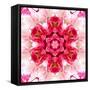 Pink Concentric Flower Center: Mandala Kaleidoscopic-tr3gi-Framed Stretched Canvas