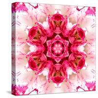 Pink Concentric Flower Center: Mandala Kaleidoscopic-tr3gi-Stretched Canvas