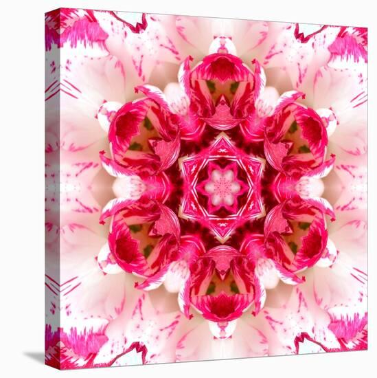 Pink Concentric Flower Center: Mandala Kaleidoscopic-tr3gi-Stretched Canvas