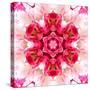 Pink Concentric Flower Center: Mandala Kaleidoscopic-tr3gi-Stretched Canvas