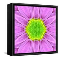 Pink Concentric Flower Center: Mandala Kaleidoscopic-tr3gi-Framed Stretched Canvas