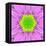 Pink Concentric Flower Center: Mandala Kaleidoscopic-tr3gi-Framed Stretched Canvas