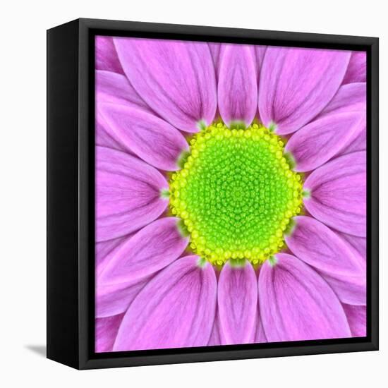 Pink Concentric Flower Center: Mandala Kaleidoscopic-tr3gi-Framed Stretched Canvas