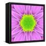 Pink Concentric Flower Center: Mandala Kaleidoscopic-tr3gi-Framed Stretched Canvas