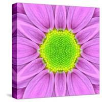 Pink Concentric Flower Center: Mandala Kaleidoscopic-tr3gi-Stretched Canvas