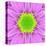 Pink Concentric Flower Center: Mandala Kaleidoscopic-tr3gi-Stretched Canvas