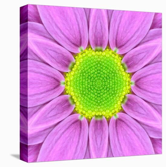 Pink Concentric Flower Center: Mandala Kaleidoscopic-tr3gi-Stretched Canvas