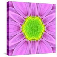 Pink Concentric Flower Center: Mandala Kaleidoscopic-tr3gi-Stretched Canvas