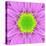 Pink Concentric Flower Center: Mandala Kaleidoscopic-tr3gi-Stretched Canvas