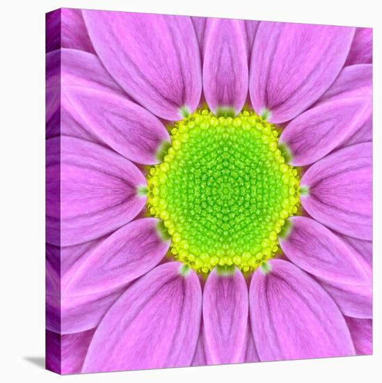 Pink Concentric Flower Center: Mandala Kaleidoscopic-tr3gi-Stretched Canvas