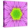 Pink Concentric Flower Center: Mandala Kaleidoscopic-tr3gi-Stretched Canvas