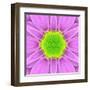 Pink Concentric Flower Center: Mandala Kaleidoscopic-tr3gi-Framed Art Print