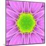 Pink Concentric Flower Center: Mandala Kaleidoscopic-tr3gi-Mounted Art Print