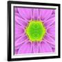 Pink Concentric Flower Center: Mandala Kaleidoscopic-tr3gi-Framed Art Print