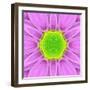 Pink Concentric Flower Center: Mandala Kaleidoscopic-tr3gi-Framed Art Print